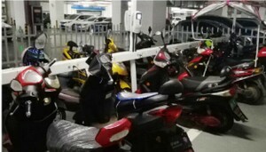 �ɹ�����